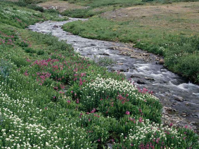 image creek-jpg