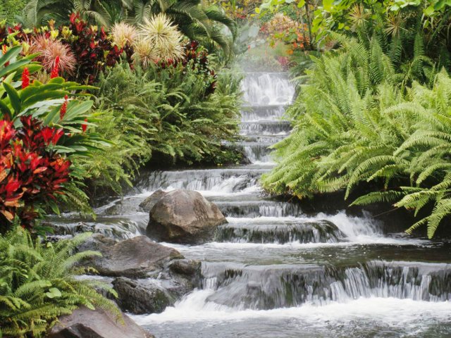 image waterfall-jpg