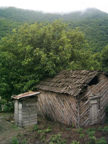image 11-jpg